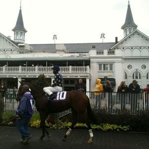 Meet your Posher, Alexander